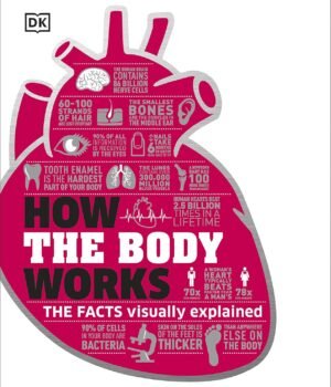 How the Body Works – The Facts Visually Explained by DK