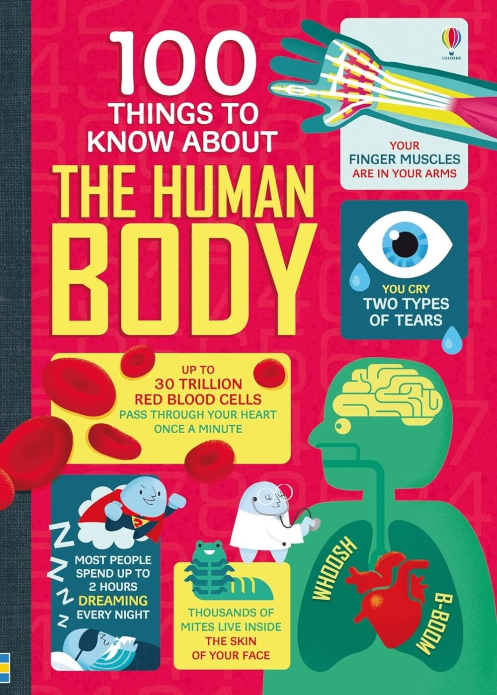 100 Things To Know About The Human Body – Fascinating Facts for Curious Minds | Usborne Books