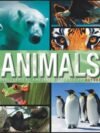 Amazing Fact Animals – A Wild Collection of Fascinating Animal Facts | Parragon Books