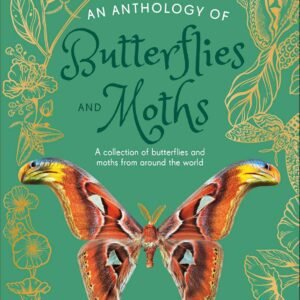 An Anthology of Butterflies and Moths – A Stunning Visual Guide to Nature’s Winged Wonders | DK Publishing