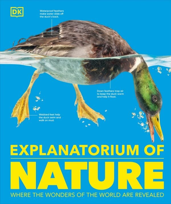 Explanatorium of Nature – A Stunning Visual Guide to the Wonders of the Natural World | DK Publishing