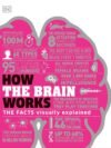 How the Brain Works – A Fascinating Guide to the Mind’s Inner Workings | DK Publishing