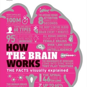 How the Brain Works – A Fascinating Guide to the Mind’s Inner Workings | DK Publishing