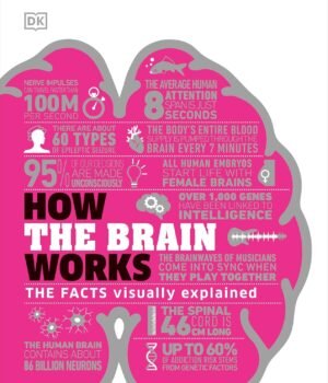 How the Brain Works – A Fascinating Guide to the Mind’s Inner Workings | DK Publishing