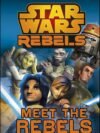 Star Wars Rebels: Meet the Rebels – A Fun and Engaging Introduction to Your Favorite Characters | DK Publishing