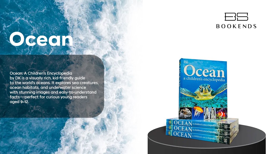 banner-6-ocean