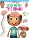 The Brain