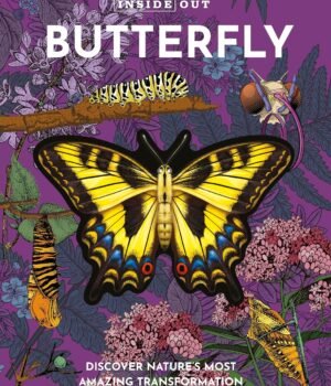Inside Out Butterfly by Chartwell Books