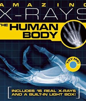 The Human Body