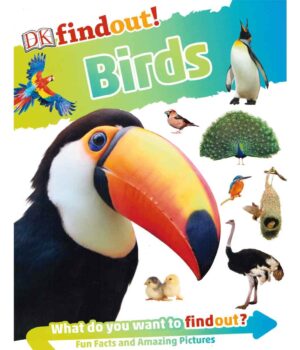 DKfindout! Birds KS1 by Dr Paul Gale