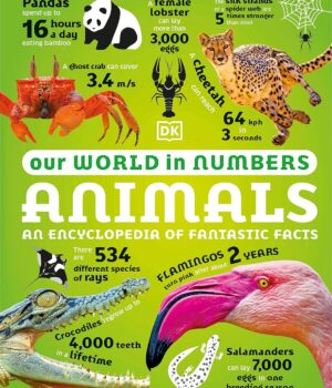 Our World in Numbers Animals by Dk