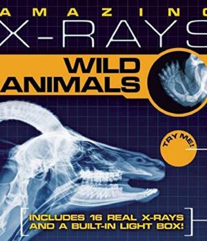 Amazing X-Rays: Wild Animals by Jacqueline A. Ball and Delia Greve