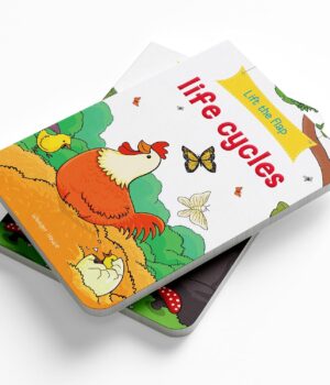 Lift The Flap: Life Cycles By Wonder House Books