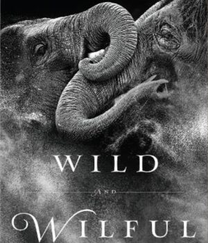 Wild And Wilful by Sinha