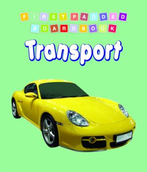 Transport by Dreamland Publications