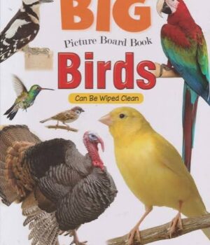 Big picture Board Book Birds