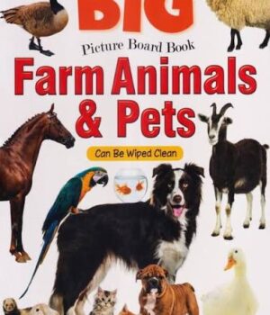 Big Picture Board Book Farm Animals