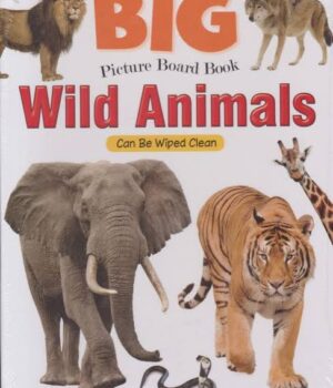 Big Picture Board Book Wild Animals